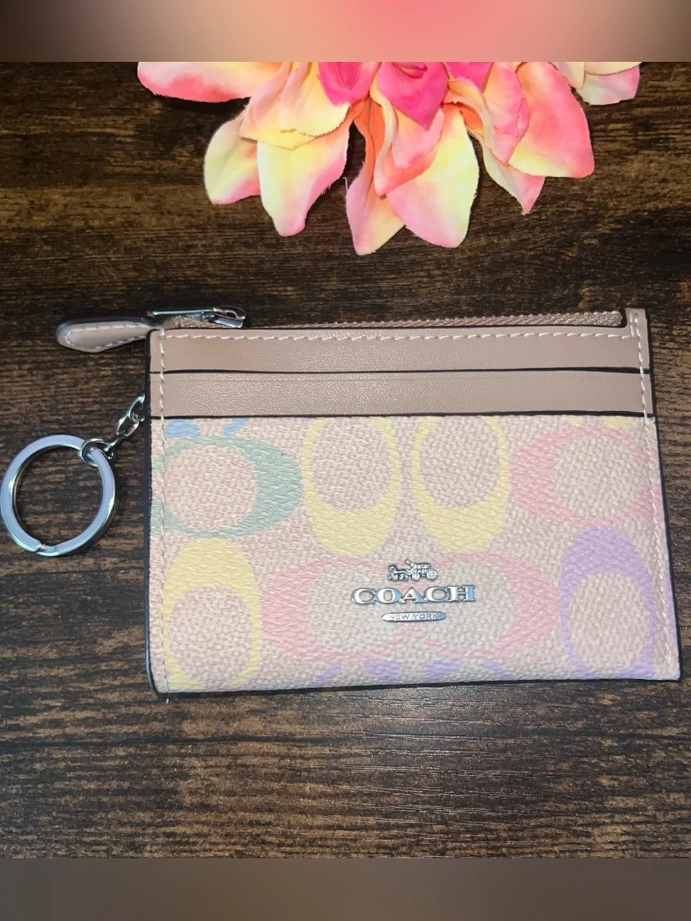 NWT Coach Mini Skinny ID Case in Signature Rainbow Pattern with Silver Sand